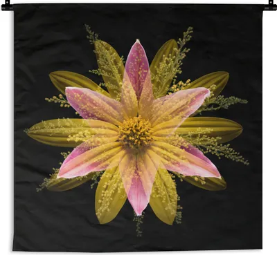 Produktbild von MuchoWow® Wandteppich Wandbehang Eine gelbe Blume auf schwarzem Hintergrund 120x120 cm Tapisserie Dekoration Wandtuch - Modern - Baumwollgewebe