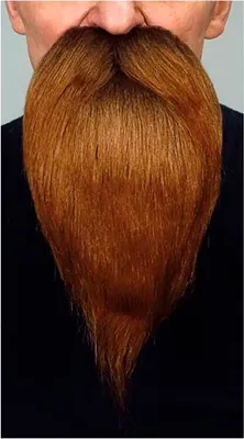 Image de Maman Barbe Et Moustache Marron Marron One Size