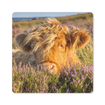 Produktbild von MuchoWow® Mauspad Mousepad Schottische Highlander - Heide - Gras - Tiere 20x20 cm - Mousepads - Maus Mat - Pad - Mausunterlage - Desk Mat - Bureauartikeln