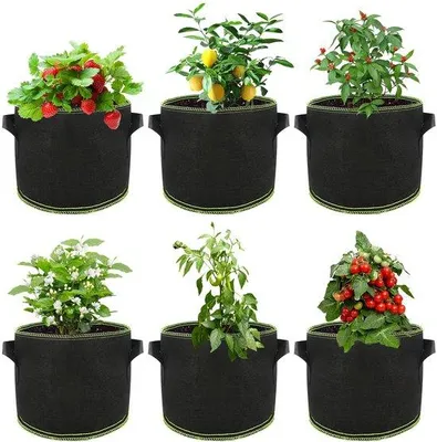 Produktbild von Unyqoos® Vlies-Pflanzsäcke 6er-Set 20 L, wiederverwendbar & waschbar, mit Griffen – für Tomaten, Kartoffeln und Blumen (Balkon & Garten)