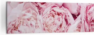 Produktbild von Bild auf Leinwand - Leinwandbild - Einteilig - Blumenstrauß Blumen Rosa - 160x50cm - Wand Bild - Wanddeko - Wandbilder - Leinwanddruck - Bilder - Wanddekoration - Leinwand bilder - AB160x50-5001