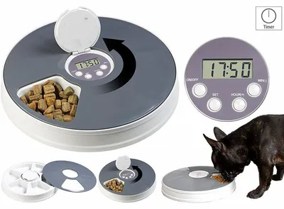 Image de Distributeur programmable de nourriture pour petit chien et chat