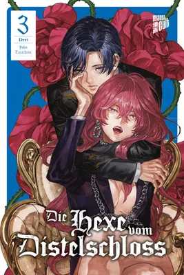 Produktbild von Die Hexe vom Distelschloss 3