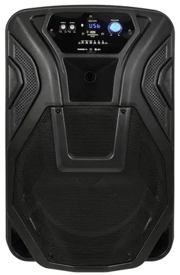 Immagine prodotto di Altoparlante PA portatile da 15 pollici - Alimentato a batteria, con Bluetooth, sistema karaoke