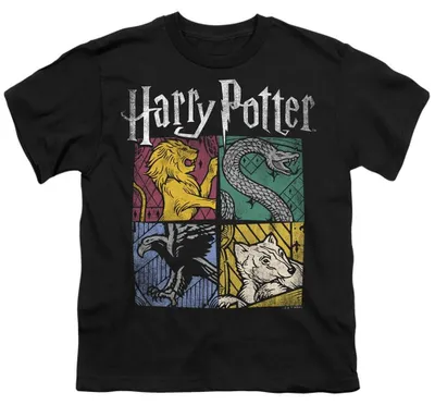 Image de T-shirt Harry Potter pour enfants, en coton ring-spun, modèle TV36898 (taille 116), couleur noire
