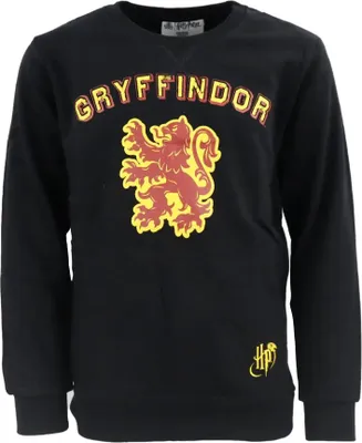 Produktbild von Harry Potter Gryffindor Kinder Jungen Pullover Sweater – Schwarz / 158/164