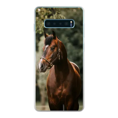 Produktbild von MuchoWow® Handyhülle Schutzhülle Hülle für Samsung Galaxy S10 Plus Pferd - Äste - Porträt Silikon Softcase Handy Hülle - Schutzhülle