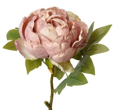Produktbild von Clayre & Eef Kunstblume Rose 48 cm Rosa Kunststoff