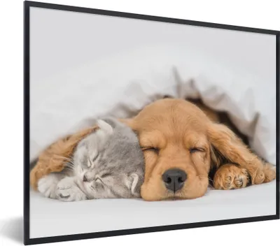 Produktbild von MuchoWow® Gerahmtes Poster Haustiere - Hund - Katze - Decke 80x60 cm - Poster mit Schwarzem Bilderrahmen Wandposter Rahmen Foto Bilder - Schwarzem - Mit Gestell