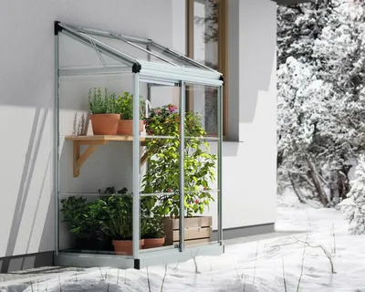 Image de Serre de jardin adossée 0.75m² argent - Palram - 702969 - lean to