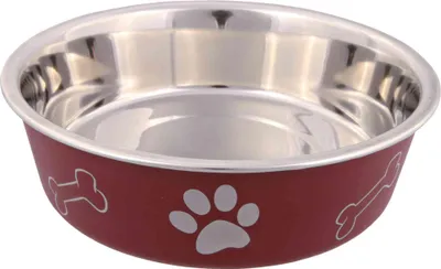 Immagine prodotto di Ciotola in acciaio inox - superficie in plastica 17 cm 0,8 l