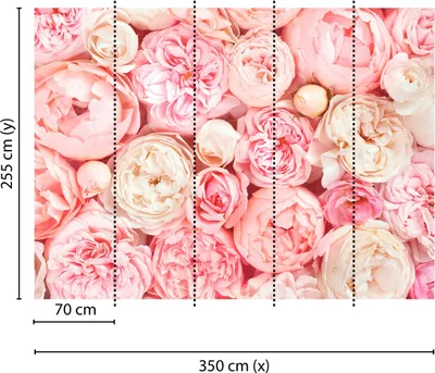 Produktbild von Tadessi Fototapete | Blumen | 3.50 m x 2.55 m | Rosa | Weiß | Wandbild | Digitaldruck