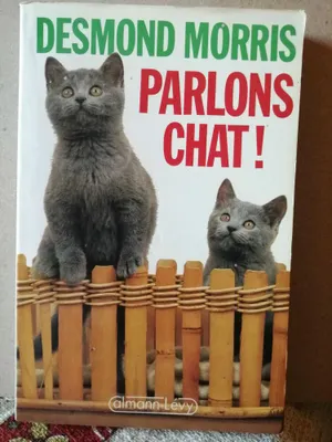 Image de Parlons chat calmann lévy