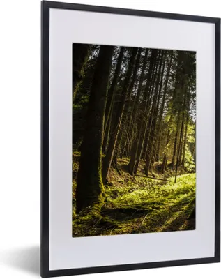 Produktbild von MuchoWow® Gerahmtes Poster Baum - Natur - Sonne - Wald 30x40 cm - Poster mit Schwarzem Bilderrahmen Wandposter Rahmen Foto Bilder - Wandposter Schlafzimmer