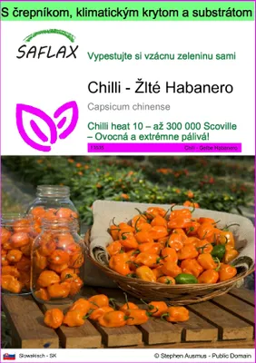 Obrázok produktu pre SAFLAX Garden to go - Chilli - Žlté Habanero - Capsicum chinense - 10 Semená - S črepníkom, klimatickým vekom a pestovateľským substrátom