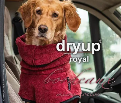 Produktbild von Dryup Cape Royal bordeaux XS(48cm)