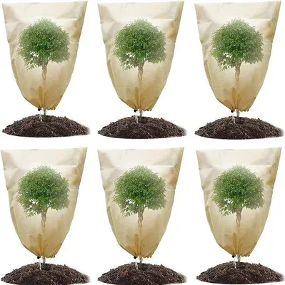 Image de Bâche de protection hivernale pour plantes, 60 x 80 cm