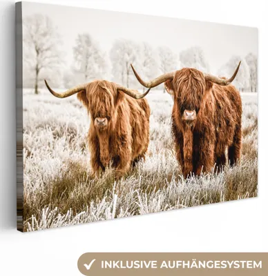 Produktbild von Wanddeko 120x80 cm - Schottisches Hochlandrind - Kuh - Natur - Winter, Deko Wohnzimmer, Leinwand Bilder