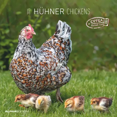 Produktbild von Alpha Edition - Hühner 2025 Broschürenkalender, 30x30cm, Kalender mit hochwertigen Hühner-Bildern, Mondphasen, Notizmöglichkeiten, Ferientermine DE/AT/CH und internationales Kalendarium
