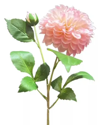 Produktbild von 2x Kunstblume Dahlie L61cm Künstliche Dahlientrieb 1 Blüte 1 Knospe hellrosa