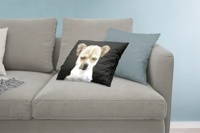 Produktbild von MuchoWow® Zierkissen Sofakissen Wohnzimmer Dekokissen 60x40 cm Hund - Haustiere - Porträt - Kopfkissen - Polster mit Foto