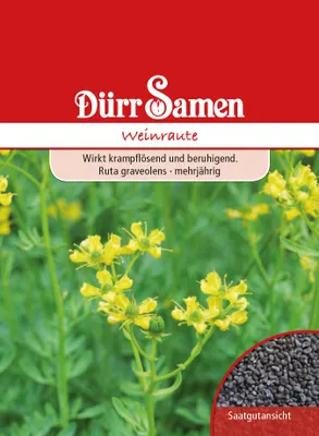 Produktbild von Weinraute | Weinrautesamen von Dürr Samen