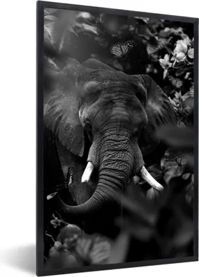 Produktbild von MuchoWow® Gerahmtes Poster Elefant und Schmetterlinge im Dschungel - schwarz und weiß 60x90 cm - Poster mit Schwarzem Bilderrahmen Wandposter Rahmen Foto Bilder - Kunst
