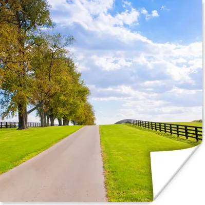 Produktbild von MuchoWow® Poster Wolken - Bäume - Straße 100x100 cm - Babyzimmer