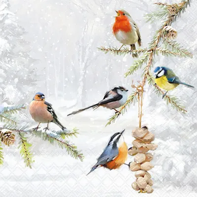 Produktbild von 20 Servietten All Together - Vogelarten an Winterzweige 33x33cm