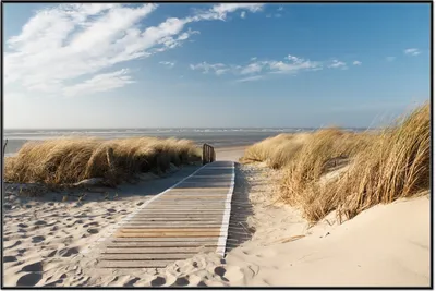 Produktbild von Wallario Wandbild Auf dem Holzweg zum Strand, Größe: 61 x 91,50 cm, Poster mit schwarzem Aluminiumrahmen