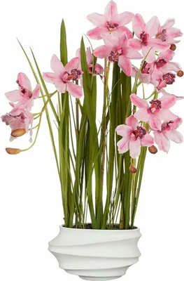 Produktbild von Dekorationspflanze Mica Decorations Cymbidium Polyester Orchidee 81 x 49 x 40 cm Künstlicher