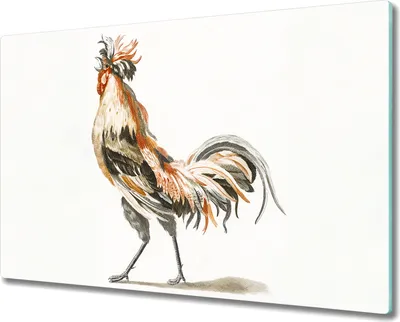 Produktbild von Coloray Hackbrett Küchenbrett Kochplattenabdeckung Schneidebrett Herdabdeckplatte 80x52 cm - Tier Vogel Huhn