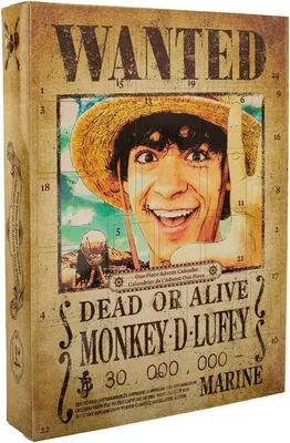Zdjęcie produktu dla Kalendarz adwentowy One Piece - Mini Treasure