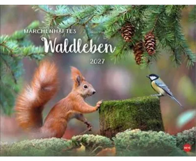 Immagine prodotto di Vadim Trunov: Calendario da parete "Vita magica nella foresta" 2027: Calendario naturalistico 2027, realizzato con le immagini del fotografo naturalista Vadim Trunov. Calendario fotografico 2027, formato orizzontale. 44 x 34 cm.