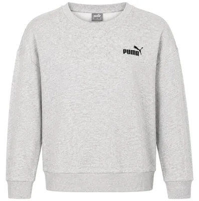 Obrázek produktu pro Mikina Puma 67680104XXA