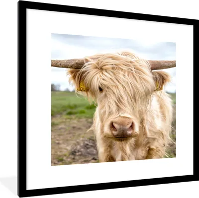 Produktbild von MuchoWow® Gerahmtes Poster Schottische Highlander - Licht - Landschaft 40x40 cm - Poster mit Schwarzem Bilderrahmen Wandposter Rahmen Foto Bilder - Poster - Plakat im Rahmen