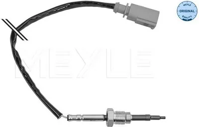 Image de Capteur, température des gaz d'échappement