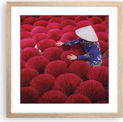 Produktbild von Gerahmtes Poster - Rahmen in heller Eiche - Trocknen Weihrauch Vietnam - 40x40 cm - Wand Bild - Wanddeko - Wandbilder - Kunstposter - Wandposter - Bilderrahmen - Bilder - Kunstdruck - P2NAC40x40-4655