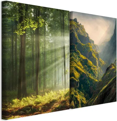 Produktbild von murando - Akustikbild Bilder XL Set Landschaft Kunstdruck auf Leinwandbild 80x60cm 2 Teilig je 40x60cm Collage 2er Kunst Wandpaneele Schalldämmung Leinwandbilder - Bilder-Set b-B-10493-b-a