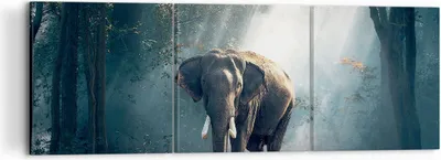 Produktbild von Bild auf Leinwand - Leinwandbild - elefant natur - 120x40cm - Wand Bild - Wanddeko - Wandbilder - Leinwanddruck - Bilder - Kunstdruck - Wanddekoration - Leinwand bilder - Wandkunst - CA120x40-3972
