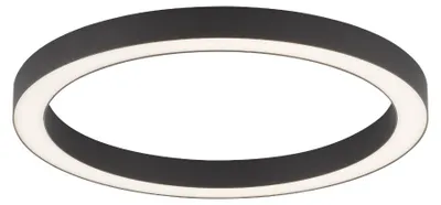 Immagine prodotto di Plafoniera LED rotonda con telecomando PURE-LINES antracite-bianco 30W Tonalità di bianco 2800 lm metallo dimensioni: 4x50x50 cm IP20 Paul Neuhaus