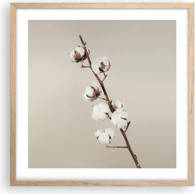 Produktbild von Gerahmtes Poster - Rahmen in heller Eiche - Baumwolle Zweig Boho - 50x50 cm - Wand Bild - Wanddeko - Wandbilder - Kunstposter - Wandposter - Bilderrahmen - Bilder - Kunstdruck - P2NAC50x50-4730