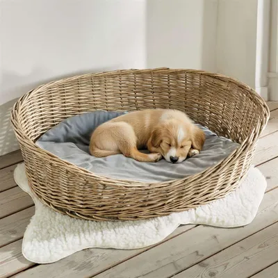 Image de Panier pour chien "Koboo Grey" en osier, taille XL 90x70 cm, lit pour chien de taille moyenne, lit pour animal avec coussin, panier en osier