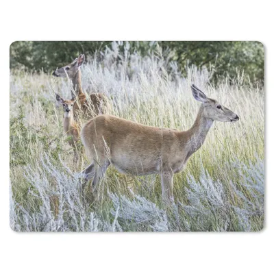Produktbild von MuchoWow® Mauspad Mousepad Tiere - Rehe - Helmgras 23x19 cm - Mousepads - Maus Mat - Pad - Mausunterlage - Schreibtischunterlage - Mauspad