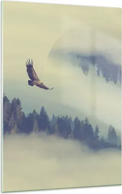 Produktbild von Bilder auf glas - Einteilig - Vogel Natur Wald - 50x70cm - Glasbilder - Wandbilder - Bilder - zum Aufhängen bereit - Wanddekoration aus Glas - Glas Bilder - Wandbild auf Glas - GPA50x70-3853