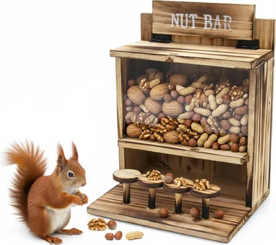 Produktbild von Eichhörnchen Futterstation NUT BAR aus Holz - 32 x 24 cm - Garten Deko Futterspender mit Klappdeckel - Futterhaus Eichhörnchenhaus