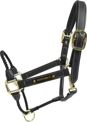 Immagine prodotto di Corda per cavezza in cuoio Kentucky Horsewear