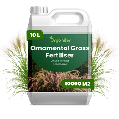Produktbild von Ziergras Flüssigdünger 10L – 2-1-8 NPK – Flüssig-Pflanzendünger für große Gartenflächen, Beete & Landschaftsbepflanzung – Organifer