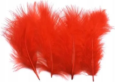 Immagine prodotto di Piume rosse chiare da 10 a 12 cm, confezione da 50 pezzi.