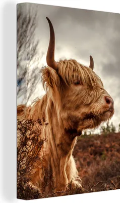 Produktbild von OneMillionCanvasses® - Leinwandbilder - 90x140 cm, Scottish Hochlandrind - Strauch - Heidekraut, Wandbilder Wohnzimmer Hochland Rind - Tier Wanddekoration - Hochland Rind - Kuh - Gemälde auf Holzrahmen  - Wandschmucke - Schlafzimmer